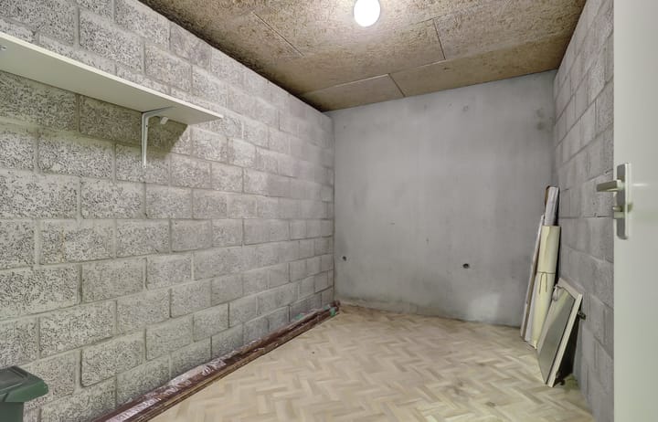 Foto 16 van Veldzuring 119