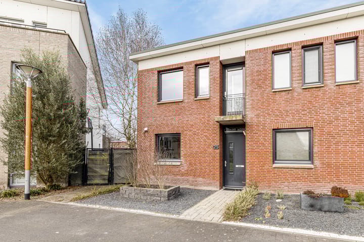 Havikskruid 25 main image