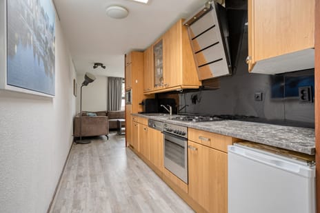 Van Boetzelaerlaan 124 tertiary image