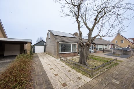 undefined main image