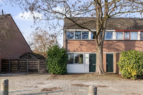 undefined main image