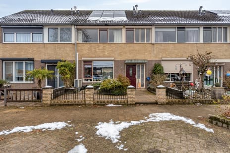 De Hangaarts thumbnail