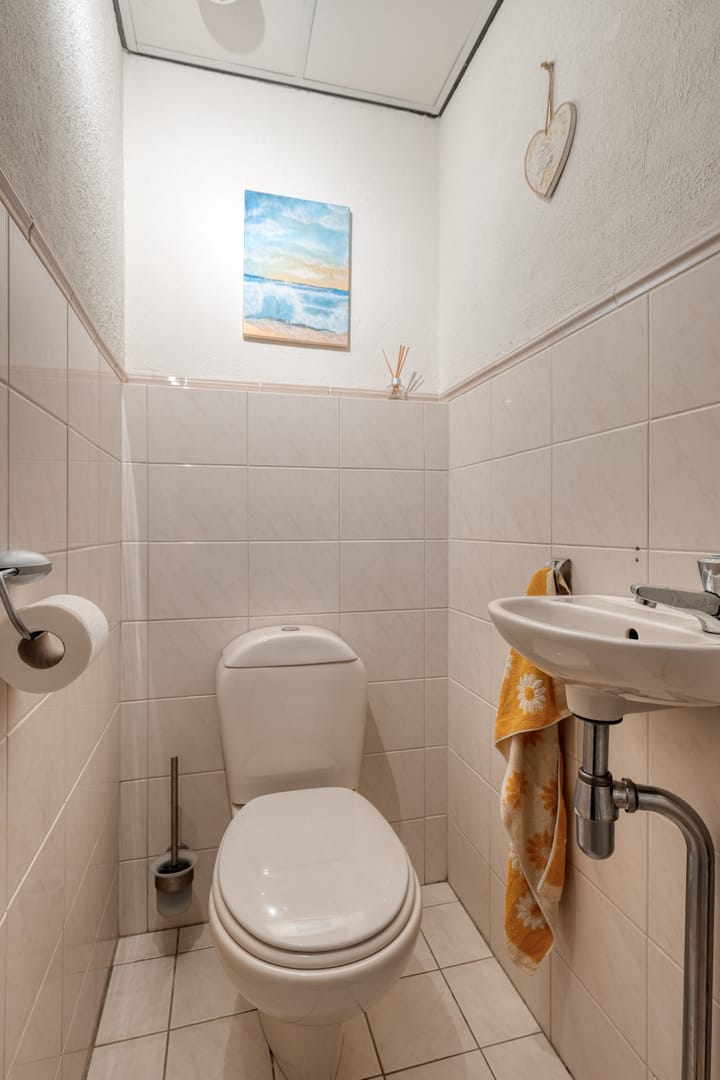 Photo 14 of De Hangaarts 50