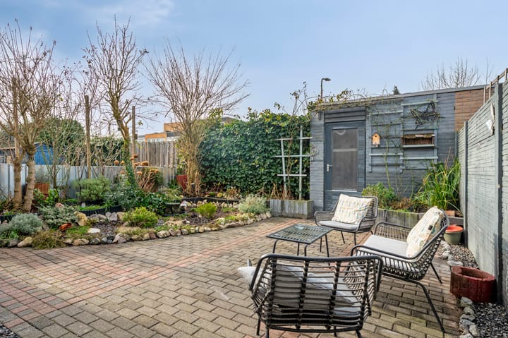 Foto 4 van Constantijn-Eik 6