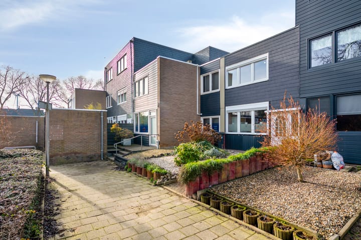 Foto 5 van Constantijn-Eik 6