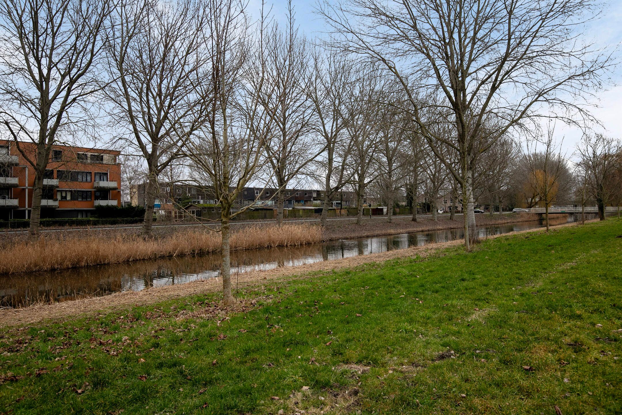 Photo 36 of Leuvenhorststraat 31