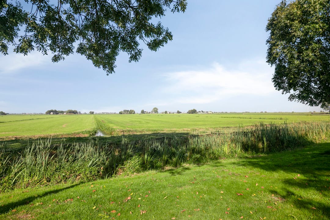 Foto 28 van Hoornse Hop 14