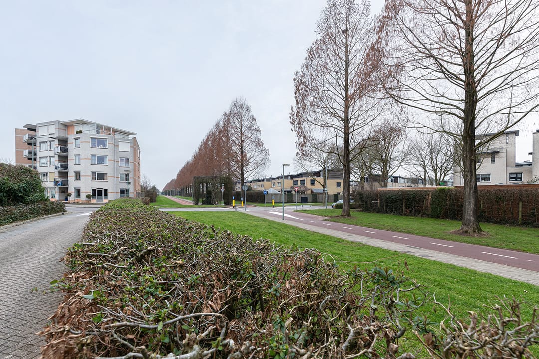 Foto 41 van Balsa 207