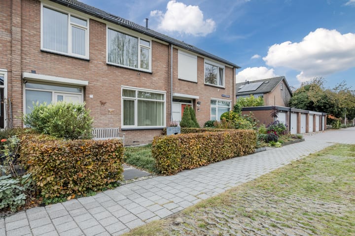 Photo 36 of Van Tetterodestraat 71