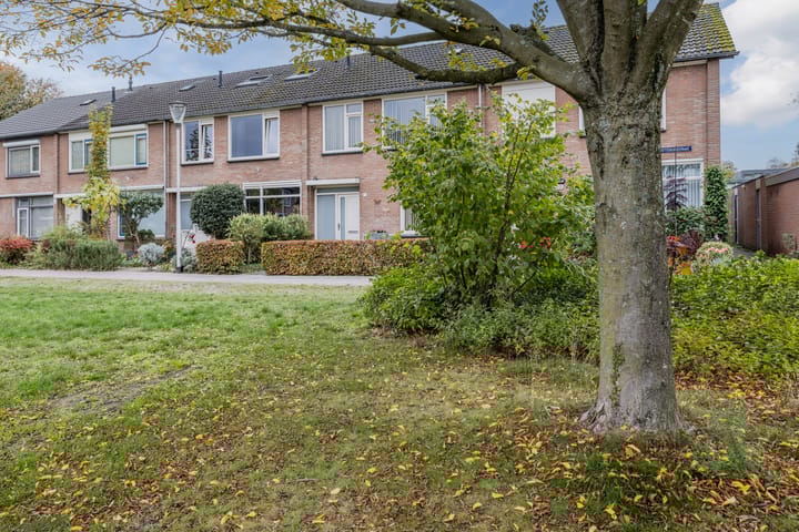 Photo 38 of Van Tetterodestraat 71