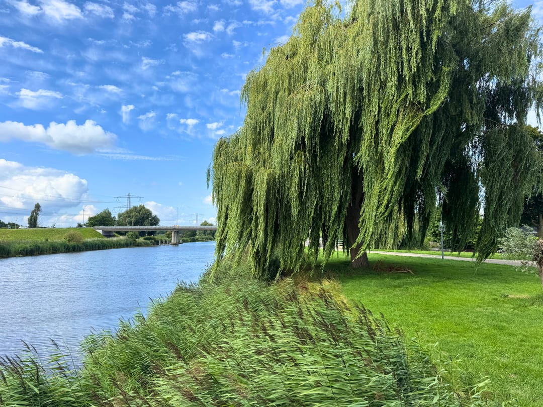 Foto 26 van Puerto Ricostraat 139