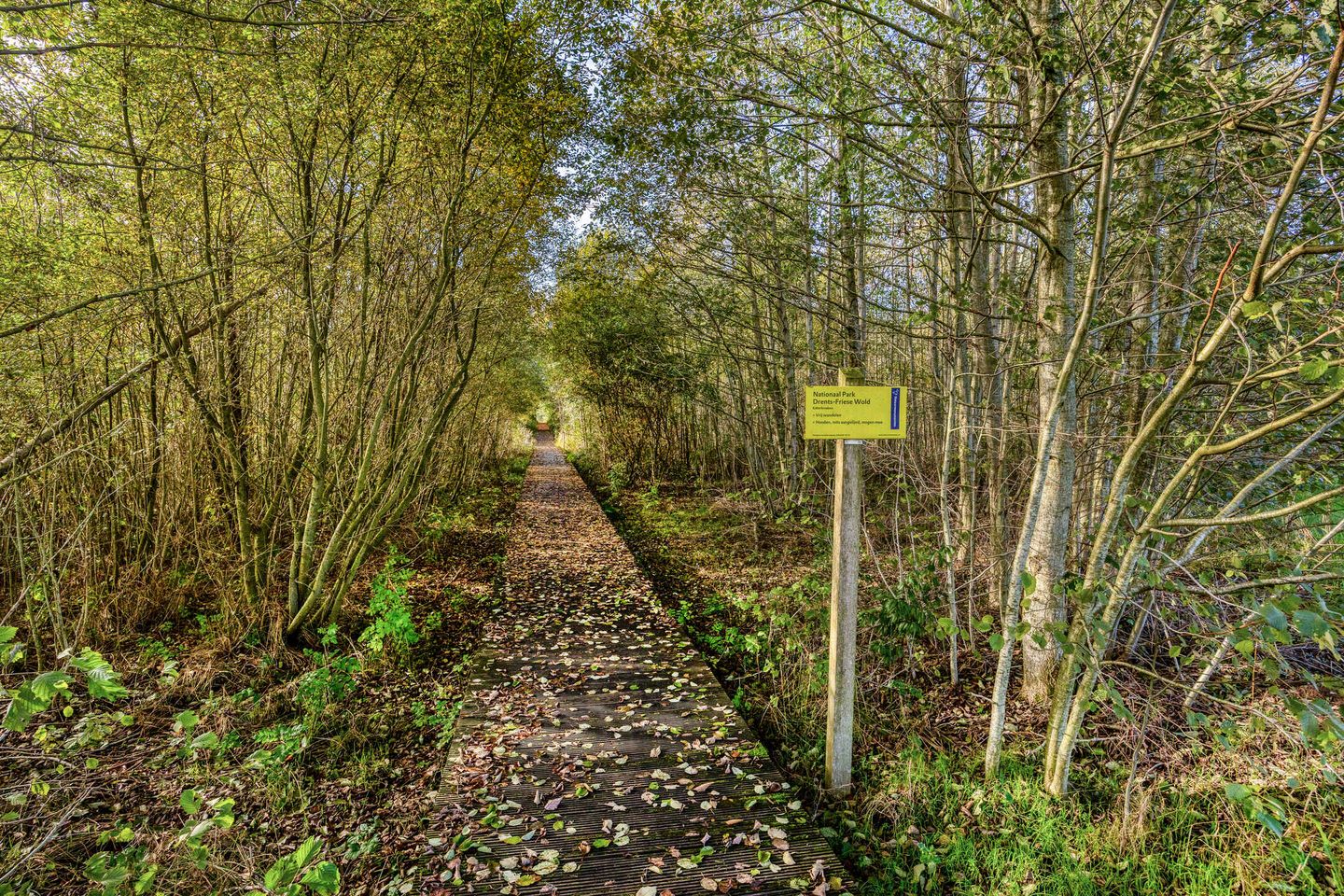 Photo 35 of Roringererf 4