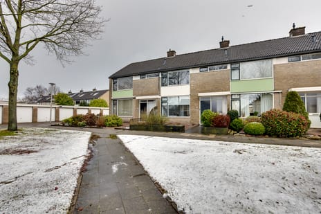 undefined main image