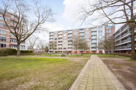 Lijsterstraat thumbnail