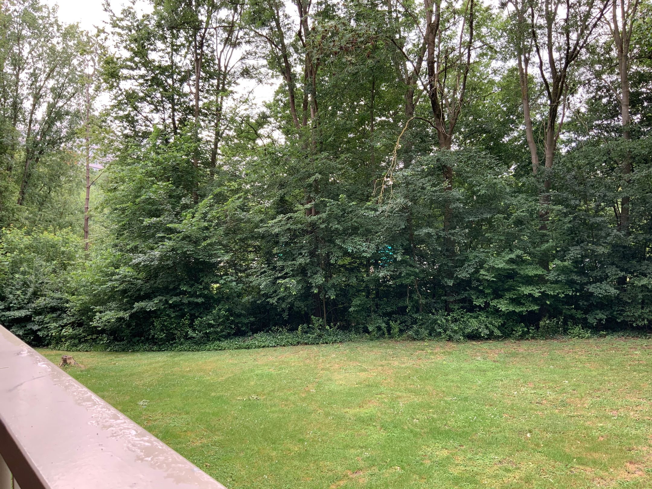 Photo 18 of De Tichel 119