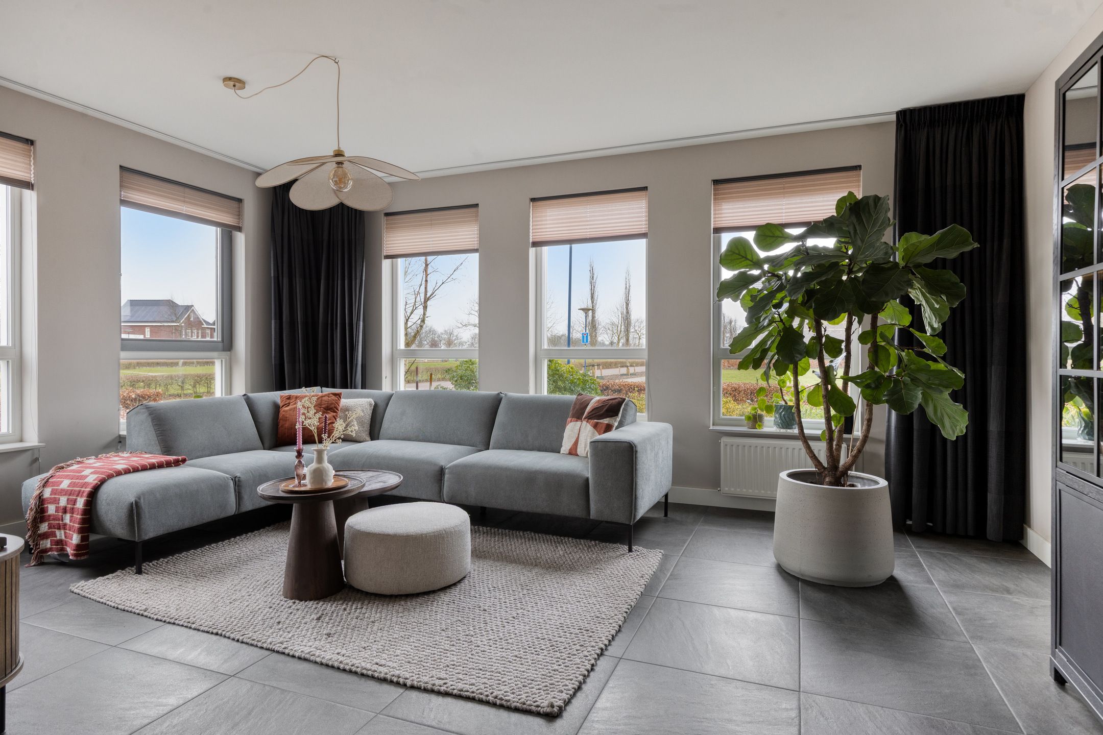 Photo 3 of Veenmos 87