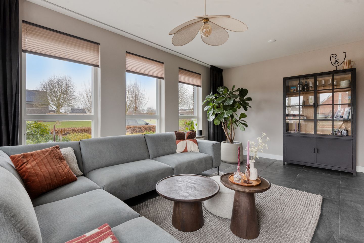 Photo 4 of Veenmos 87