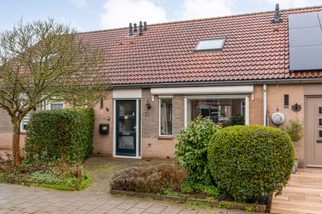 undefined main image