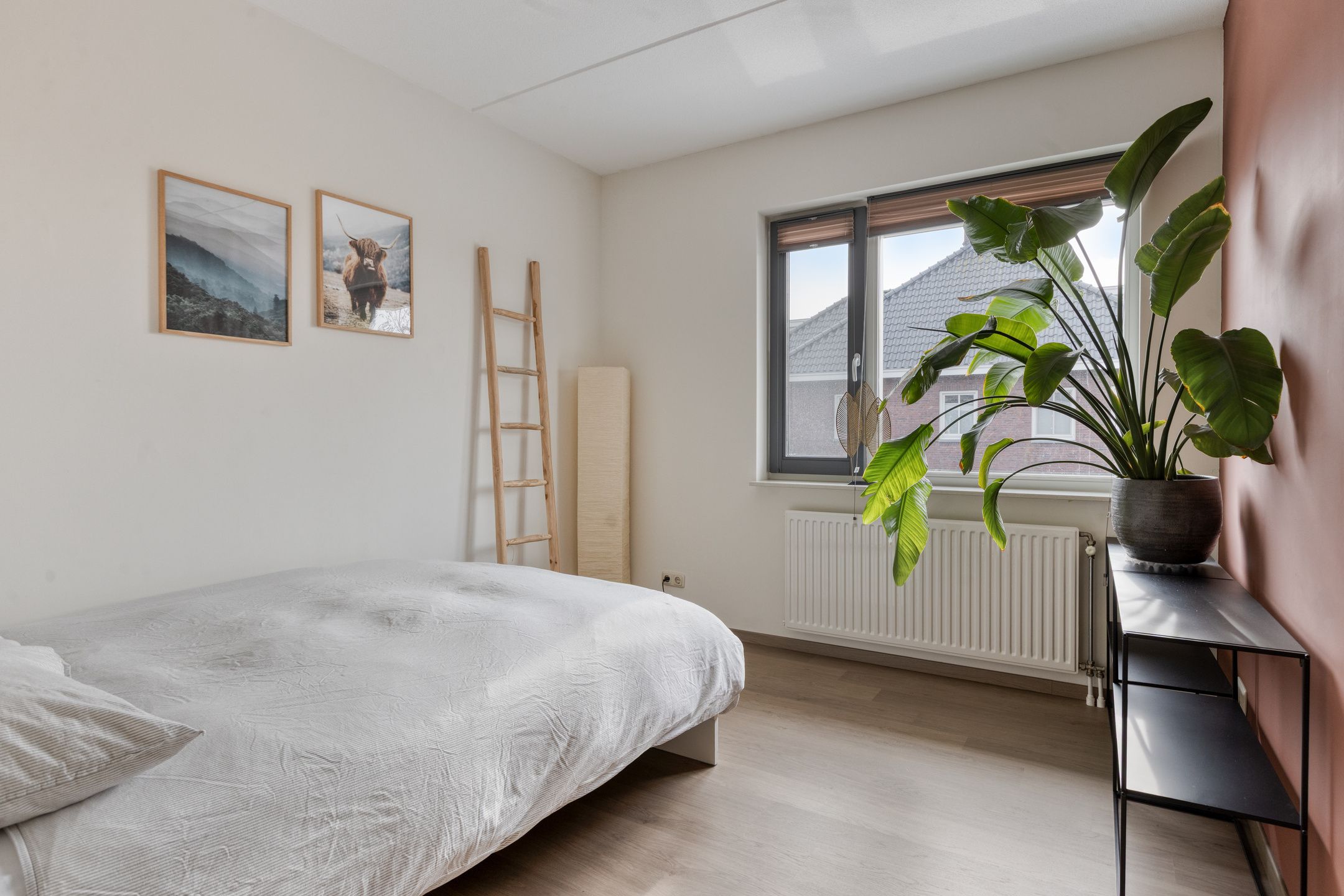 Photo 15 of Veenmos 87