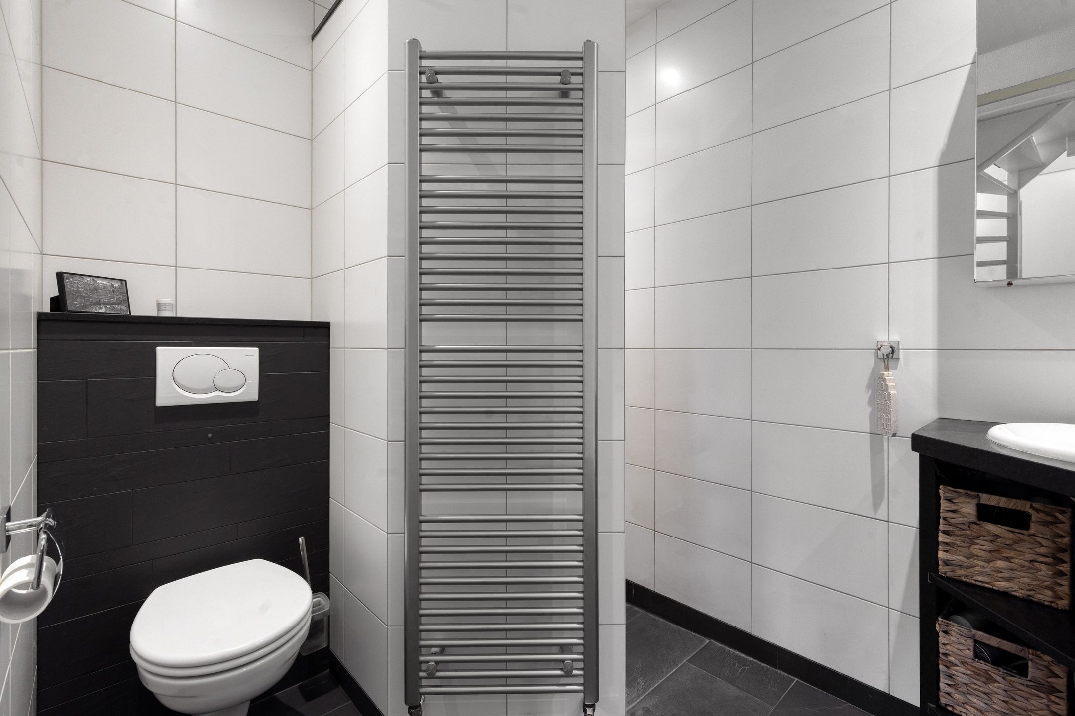 Photo 18 of Veenmos 87