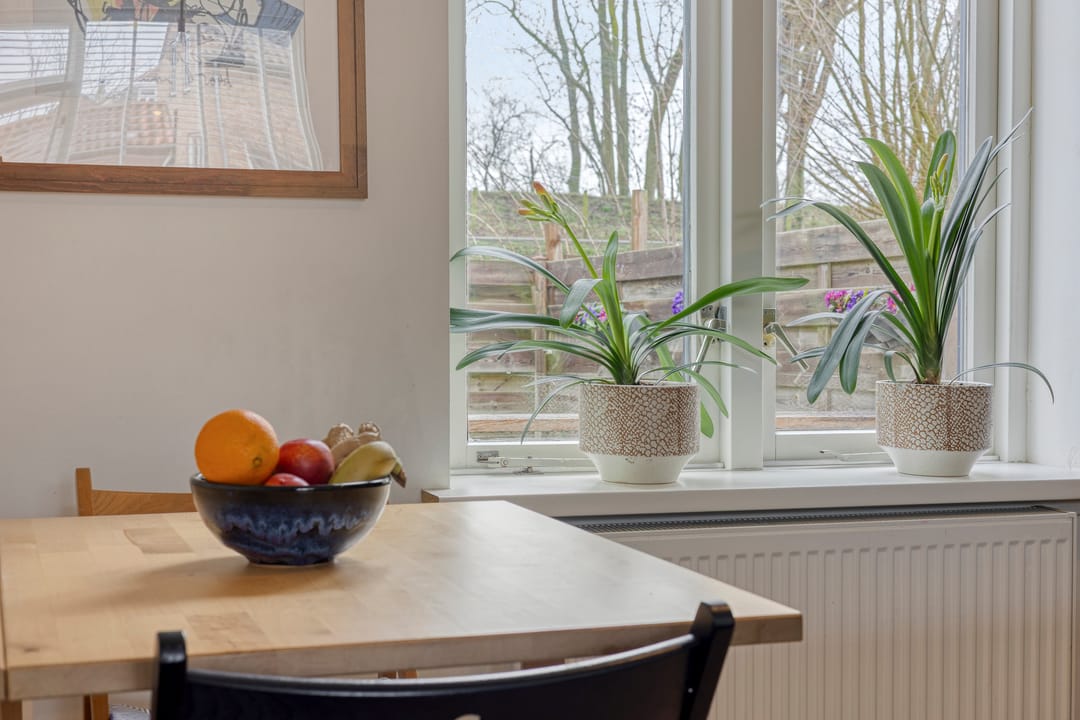 Foto 11 van Witte de Withstraat 32