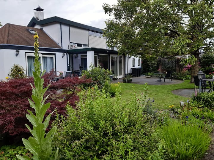 Foto 3 van Hoge Ham 117-I