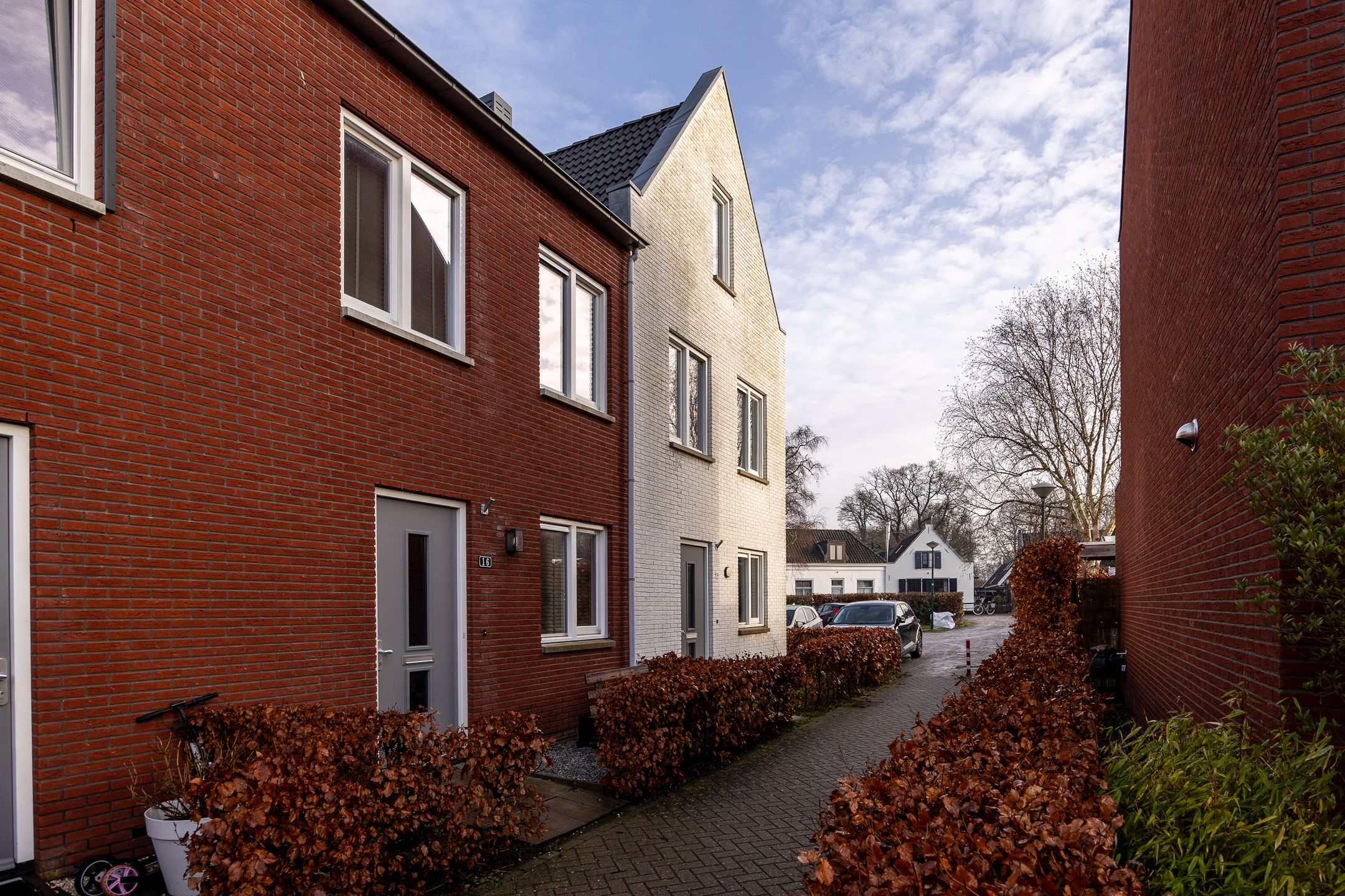 Foto 3 van Lion Cachethof 14