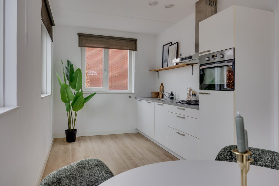 Foto 11 van Lion Cachethof 14