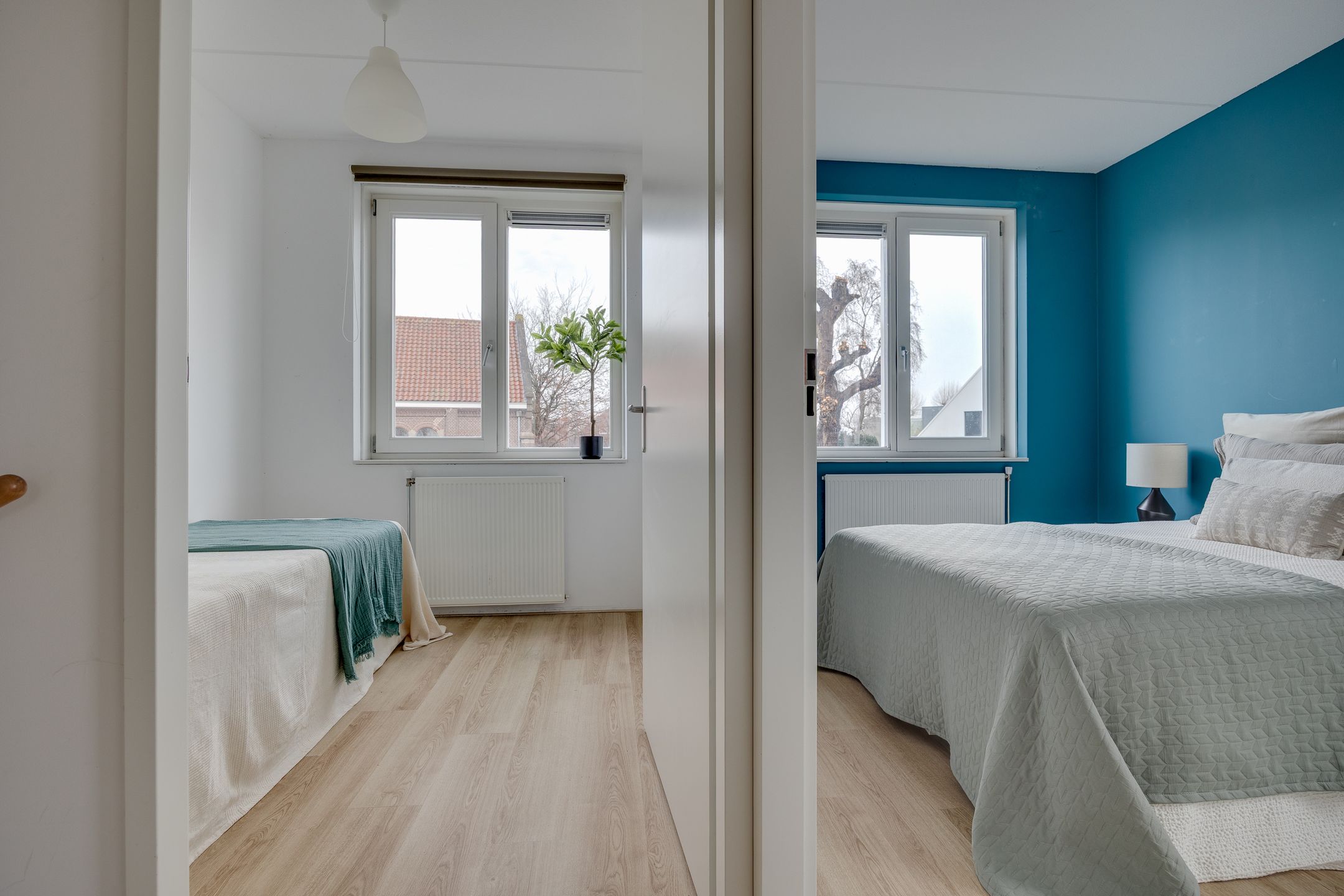 Foto 18 van Lion Cachethof 14