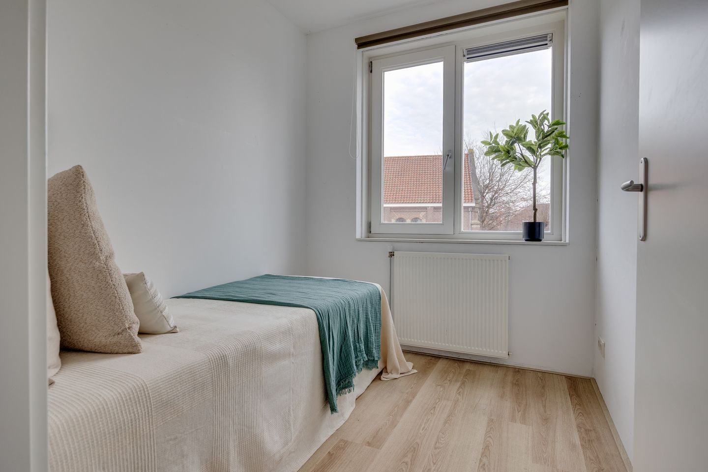 Foto 19 van Lion Cachethof 14