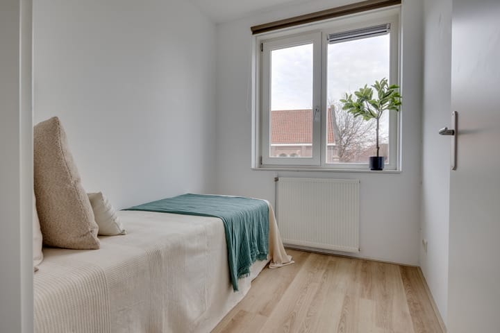 Photo 19 of Lion Cachethof 14