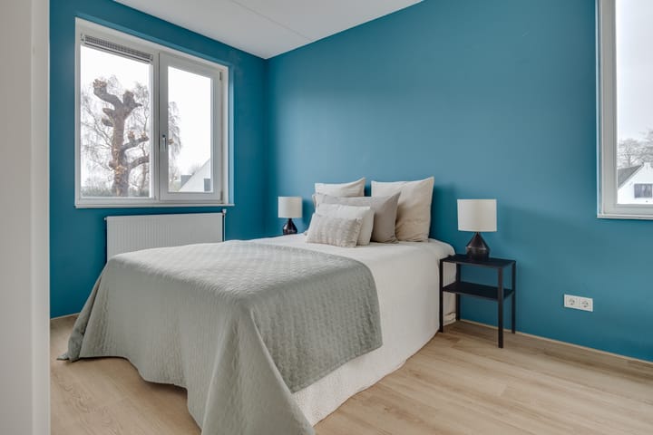 Photo 20 of Lion Cachethof 14