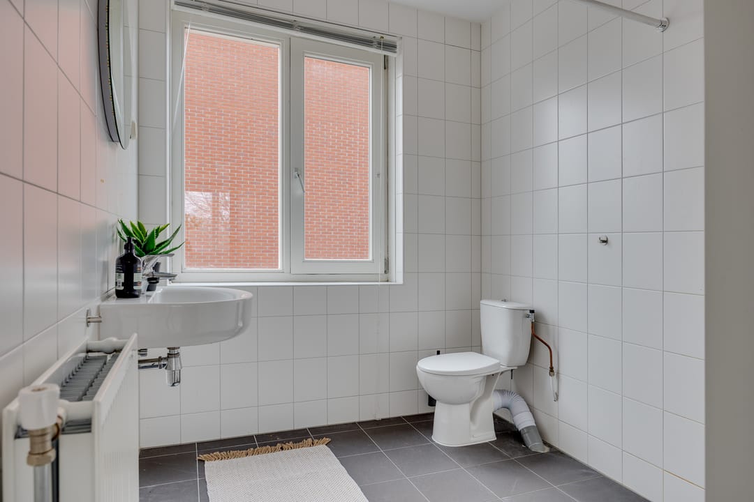 Foto 23 van Lion Cachethof 14