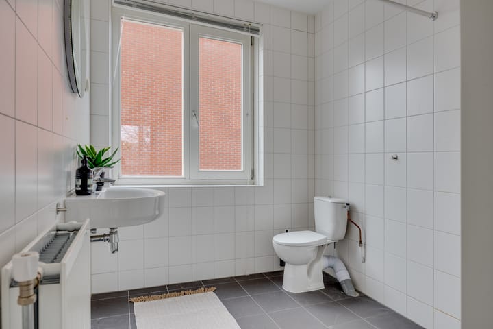 Photo 23 of Lion Cachethof 14