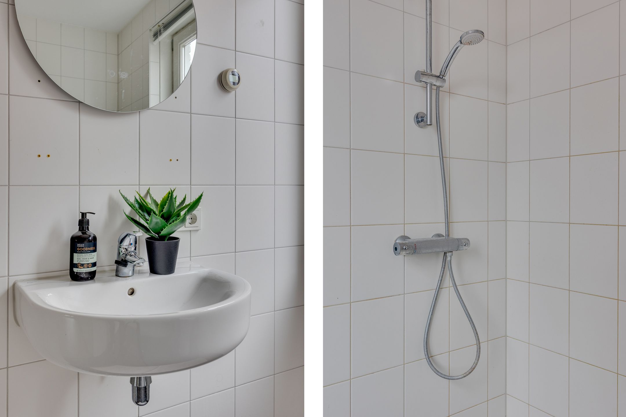 Foto 24 van Lion Cachethof 14