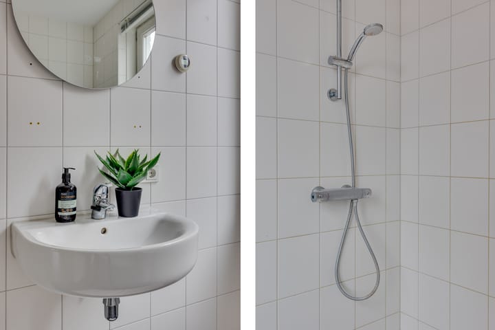 Photo 24 of Lion Cachethof 14