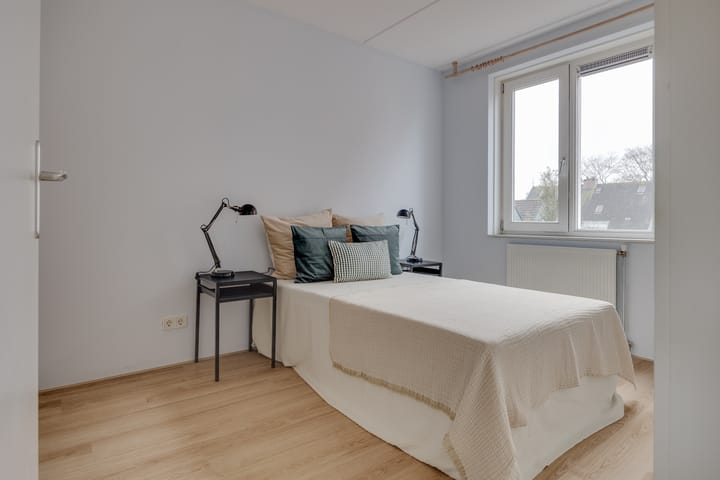 Photo 26 of Lion Cachethof 14