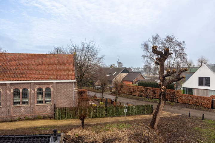 Photo 30 of Lion Cachethof 14