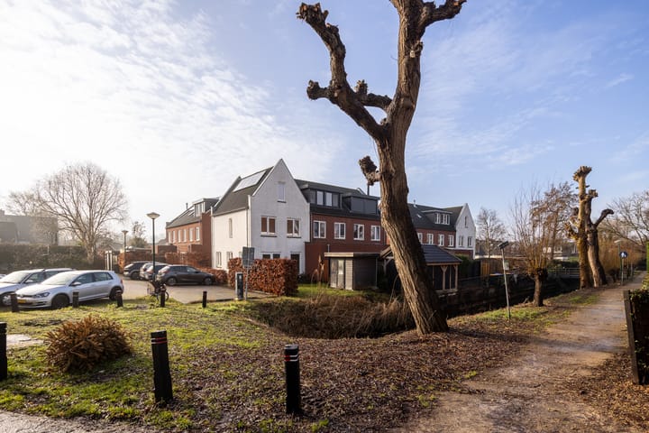 Photo 31 of Lion Cachethof 14