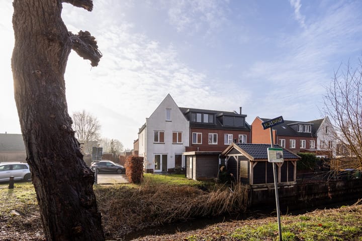 Photo 33 of Lion Cachethof 14