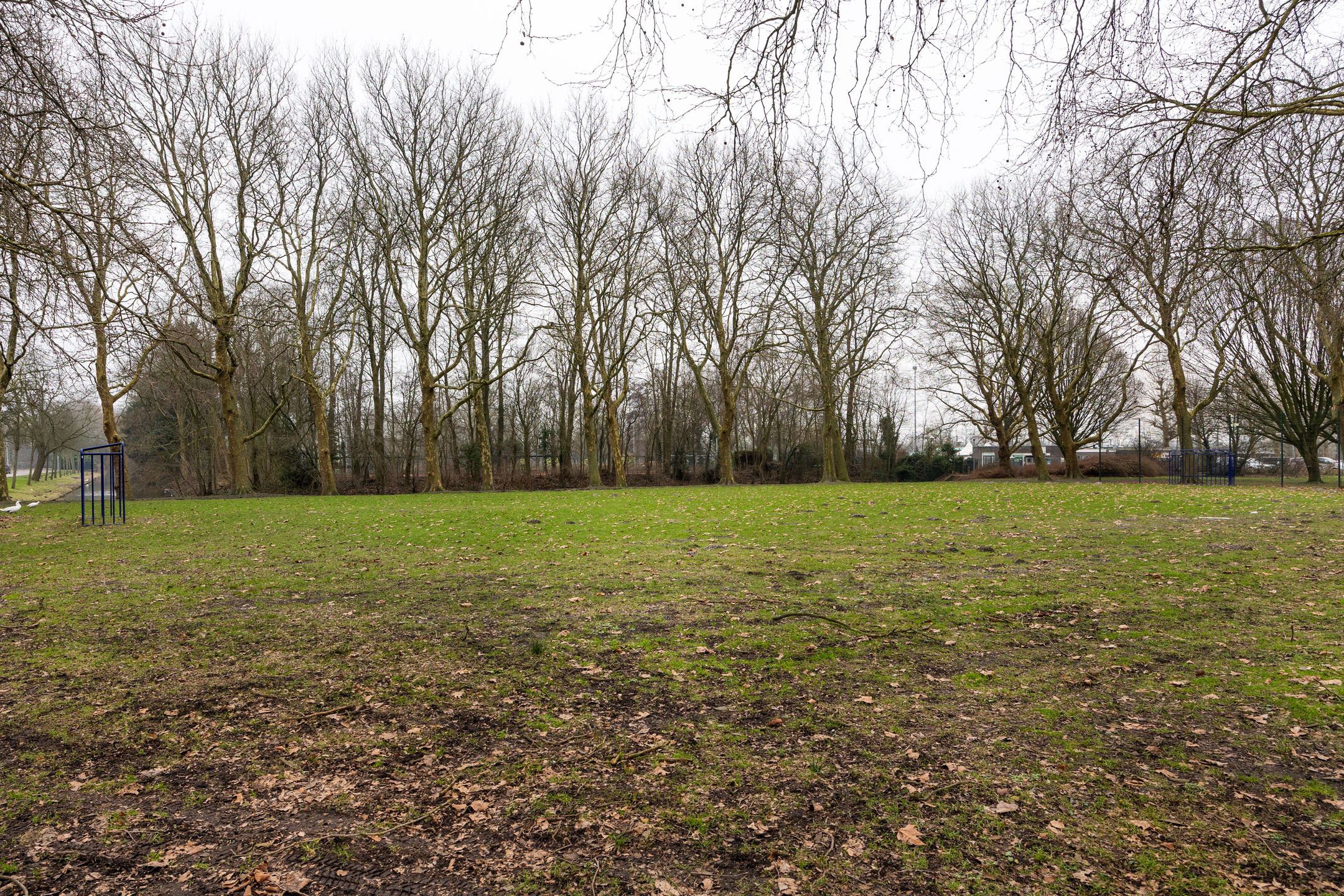 Foto 21 van Populierenlaan 115