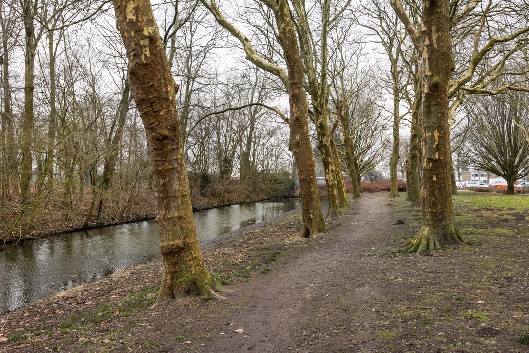 Foto 23 van Populierenlaan 115