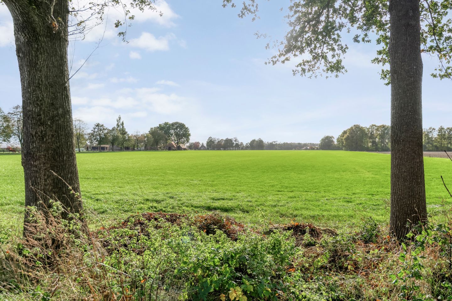 Foto 10 van Emtenbroekerdijk 40