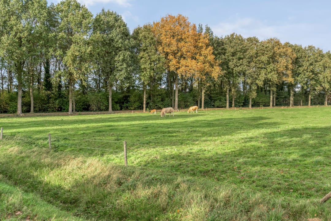 Foto 11 van Emtenbroekerdijk 40