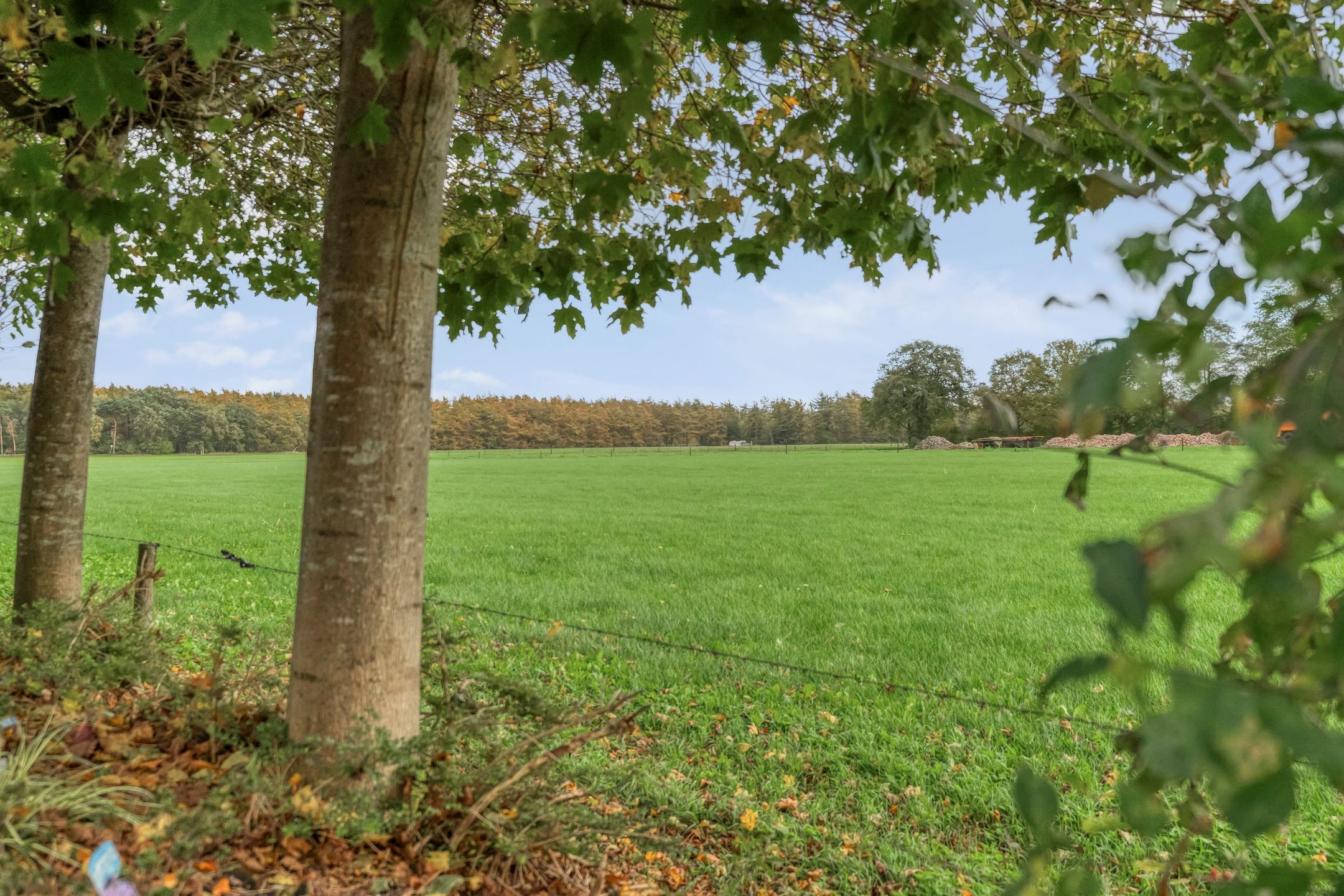 Foto 75 van Emtenbroekerdijk 40