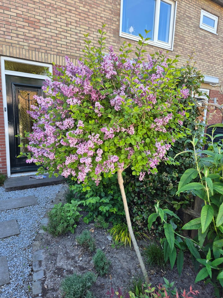 Foto 36 van Claudiusdreef 13