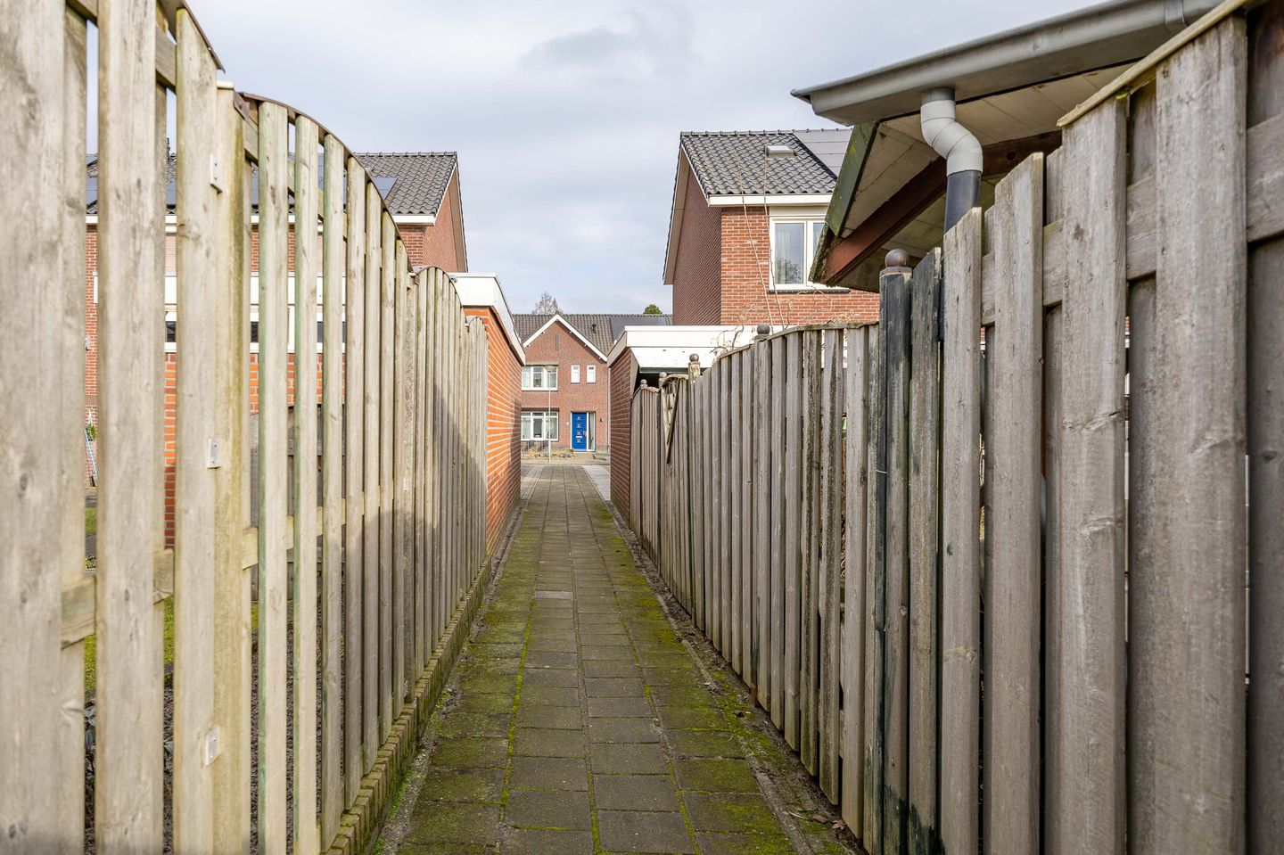 Photo 34 of Papenbeek 52