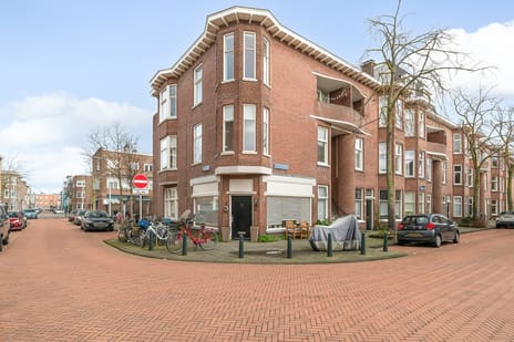 De Vriesstraat thumbnail