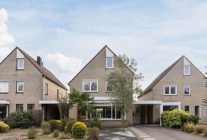 De Goolder 24 main image