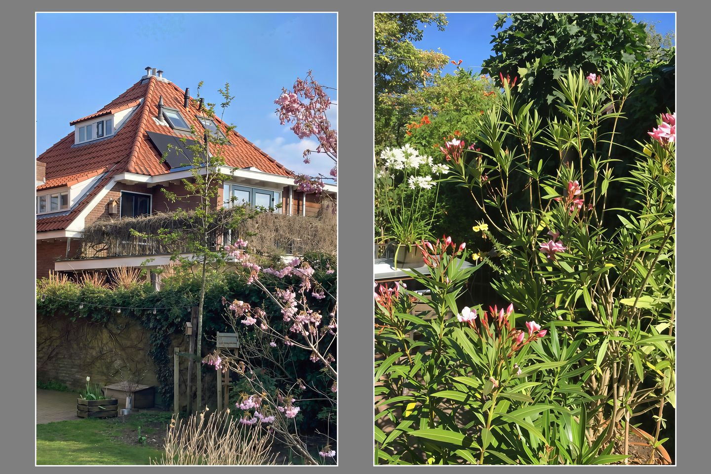 Photo 59 of van Peltlaan 174